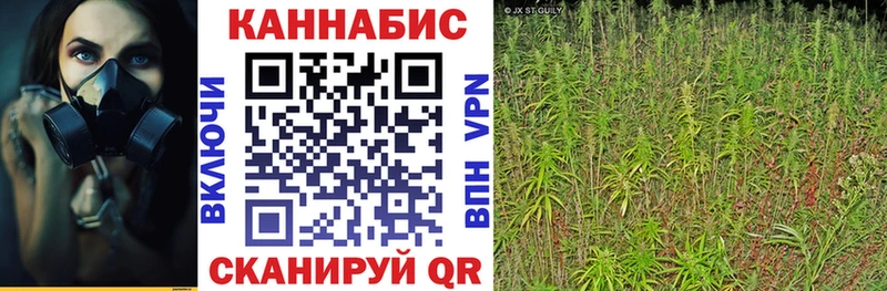 где купить наркоту  MEGA зеркало  Марихуана OG Kush  Кыштым 